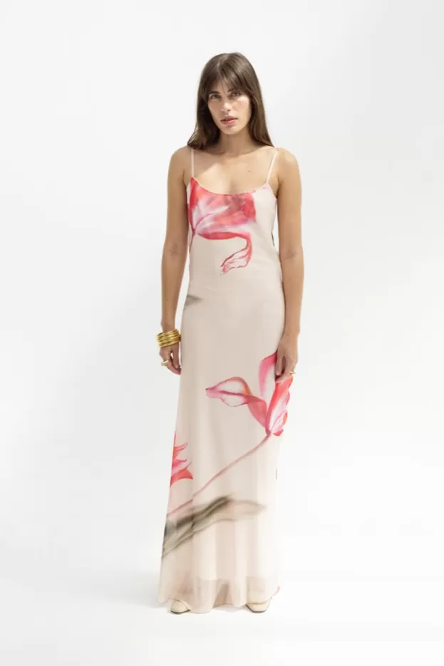 Evening Dresses | Dresses*Musier Paris printed maxi dress avina rose/nude